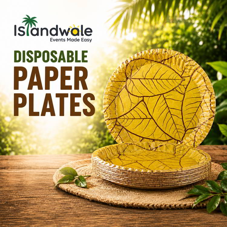 Disposable Plates (10 Pcs)